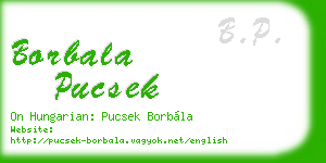 borbala pucsek business card